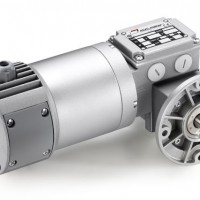Mini Motor 蝸輪蝸桿減速電機，帶行星減速器：單相或三相