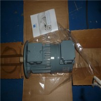 德國VEM滑環(huán)式電機 SPER/ S11R技術(shù)指導(dǎo)