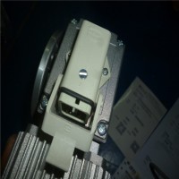 意大利Mini motor 無刷伺服電機(jī) DBS 55型號(hào)