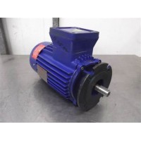 原廠采購(gòu)CEMP防爆型剎車(chē)防爆電機(jī)