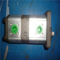 西班牙Roquet鋁齒輪泵和電機(jī)從 4 到 26，66 cc/rev |LZ - 低噪音系列