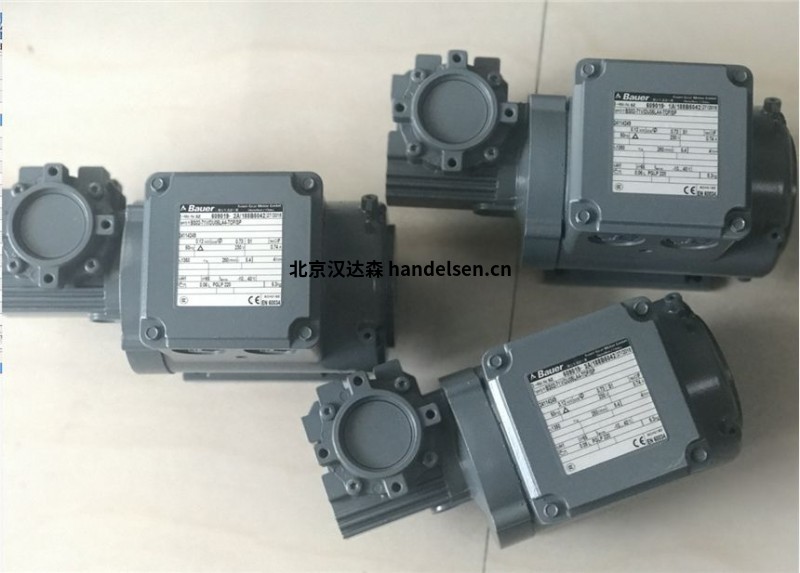 bauer 用于爆炸危險區(qū)域的IE4-PM同步齒輪電動機(jī)