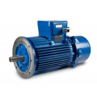 CEMP防爆電機(jī)IECEx、ATEX 認(rèn)證進(jìn)口供應(yīng)