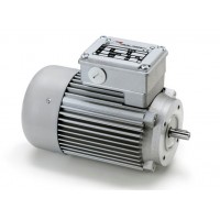 意大利Minimotor進口電動機渦輪蝸桿馬達國外工廠直供