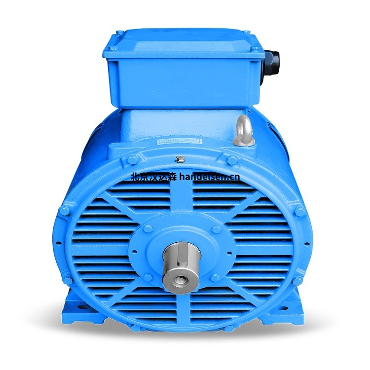 seva-tec  B3 安裝的   ATEX 防爆電動機(jī)