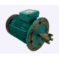 Brook Crompton 是節(jié)能電動機的領(lǐng)先供應(yīng)商，提供低壓、中壓和高壓電機