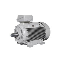 Lammers防爆電機(jī) 1TZ9002-0BA6效率等級：IE2、IE3