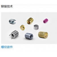 Bossard 提供多種不同類(lèi)型的螺母，墊圈，螺釘，鉚釘?shù)染o固件