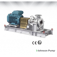 Johnson Pump 重型流程泵，適合化工/石化工業(yè)、煉油廠和一般工業(yè)應(yīng)用