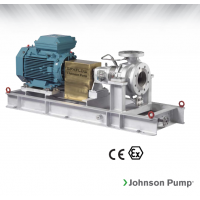 Johnson Pump 重型流程泵，適合化工、煉油廠和一般工業(yè)應用
