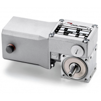 Mini Motor 蝸輪蝸桿直流減速電機BC2000-24MP，永磁直流電，全封閉