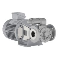 Johnson Pump 內(nèi)嚙合齒輪泵，適用于中等粘度、清潔和非磨蝕性液體