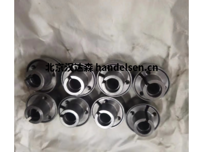 德國(guó)BIKON-Technik脹緊套1006-050-080用于食品加工行業(yè)