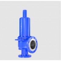 LESER安全閥API系列5262.6593型用于蒸汽，氣體和液體