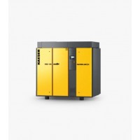 德國Kaeser干式螺桿壓縮機(jī)CSG 125 A風(fēng)冷式高效節(jié)能